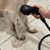 Mobile Hundedusche